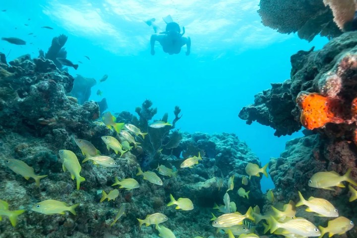 underwater view of a large rock