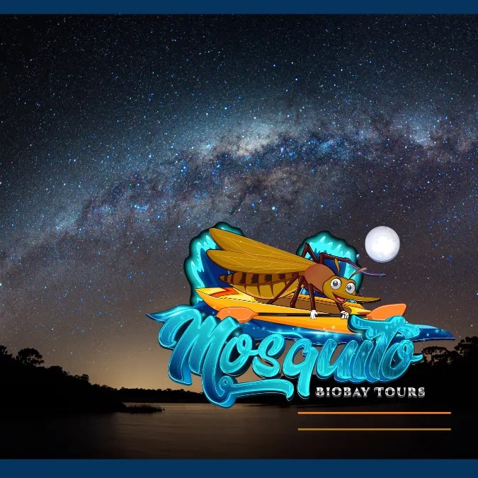 sea, night time with stars, and logo for Mosquito Biobay Tours